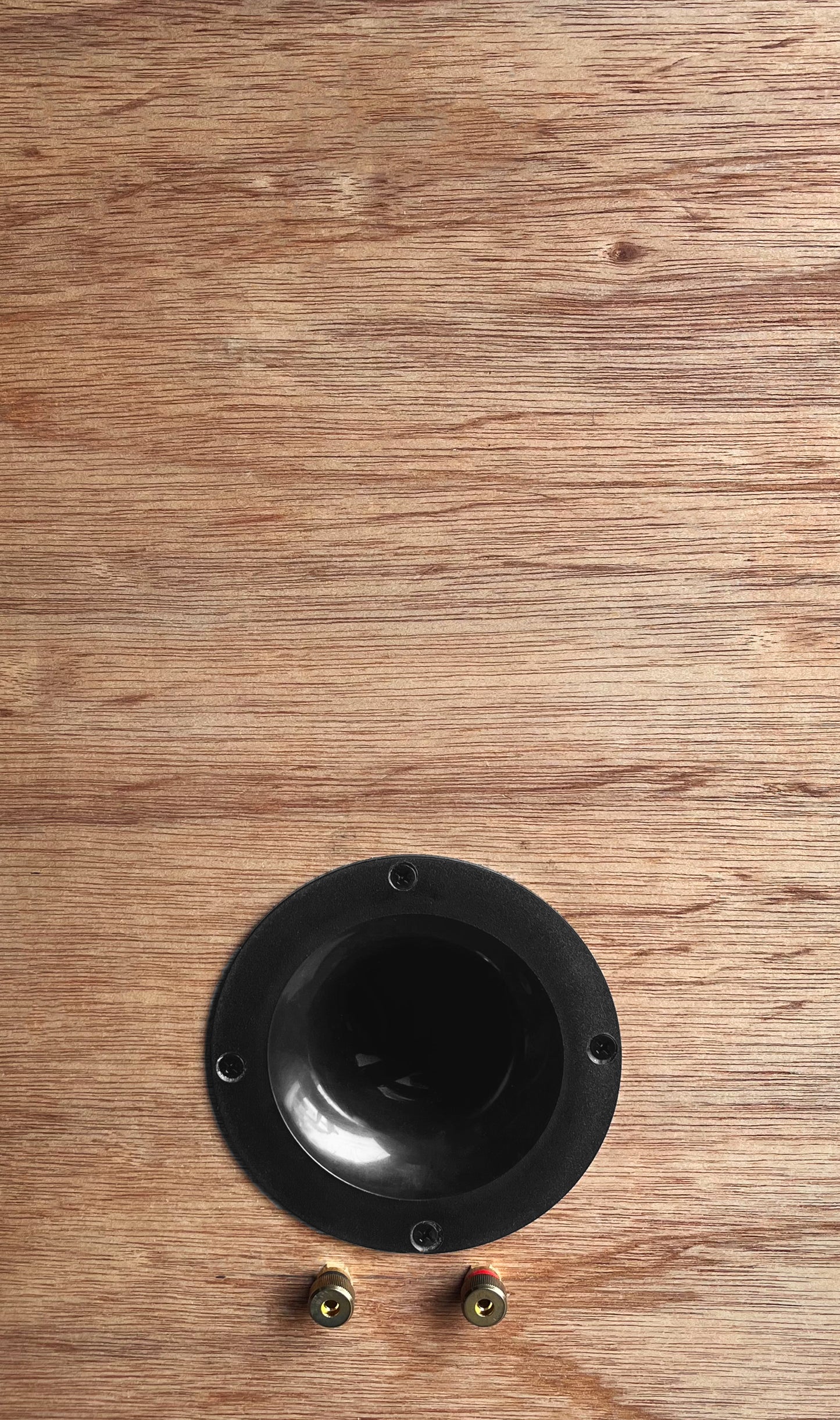 Limestone Speakers